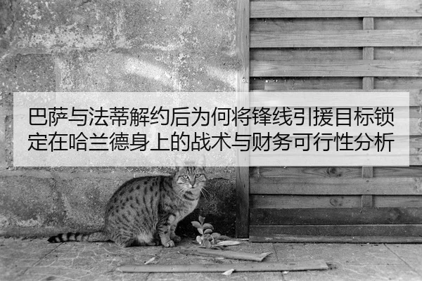 ba-sa-yu-fa-di-jie-yue-hou-wei-he-jiang-feng-xian-yin-yuan-mu-biao-suo-ding-zai-ha-lan-de-shen-shang-de-zhan-shu-yu-cai-2-696.jpg
