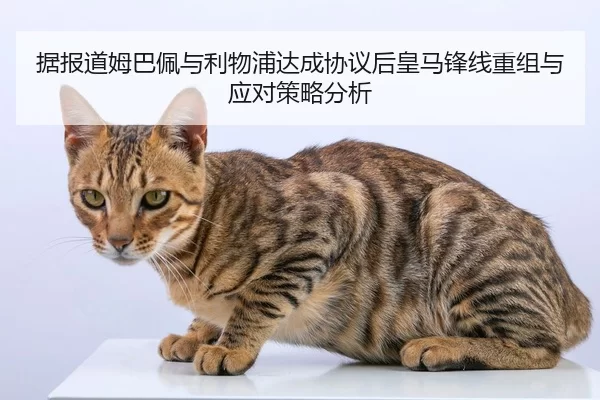 据报道姆巴佩与利物浦达成协议后皇马锋线重组与应对策略分析