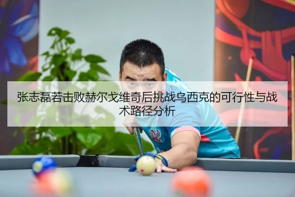 张志磊若击败赫尔戈维奇后挑战乌西克的可行性与战术路径分析