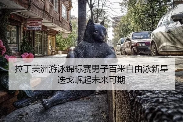拉丁美洲游泳锦标赛男子百米自由泳新星迭戈崛起未来可期